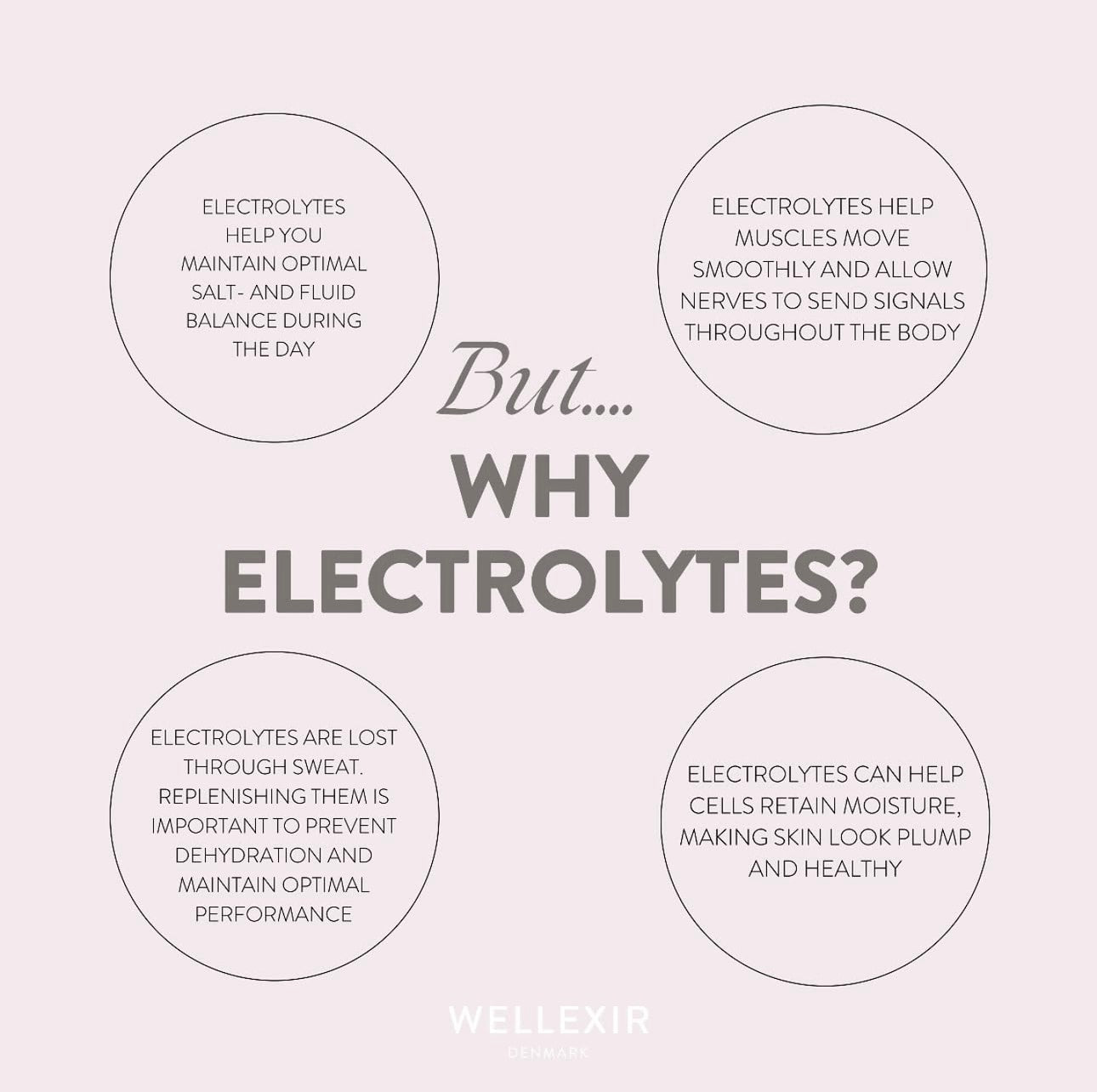 Flow Performance Hydration - Lemon/Lime 300 g -